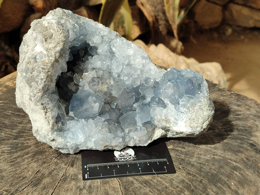 Natural Celestite Geode Specimen x 1 From Sakoany, Madagascar - Toprock Gemstones and Minerals 