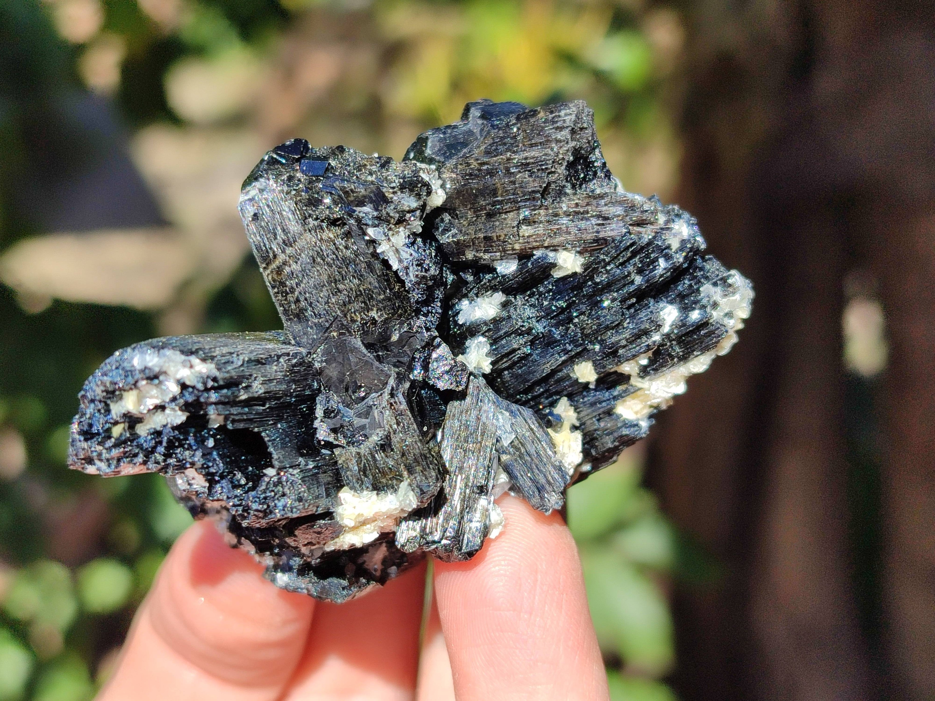 Natural Schorl Black Tourmaline Specimens x 6 From Erongo, Namibia - Toprock Gemstones and Minerals 