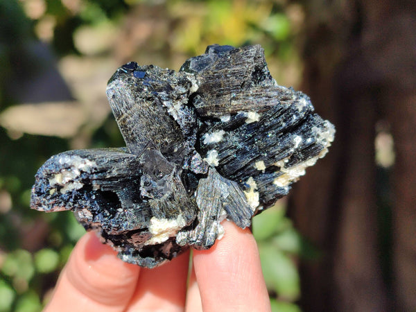 Natural Schorl Black Tourmaline Specimens x 6 From Erongo, Namibia