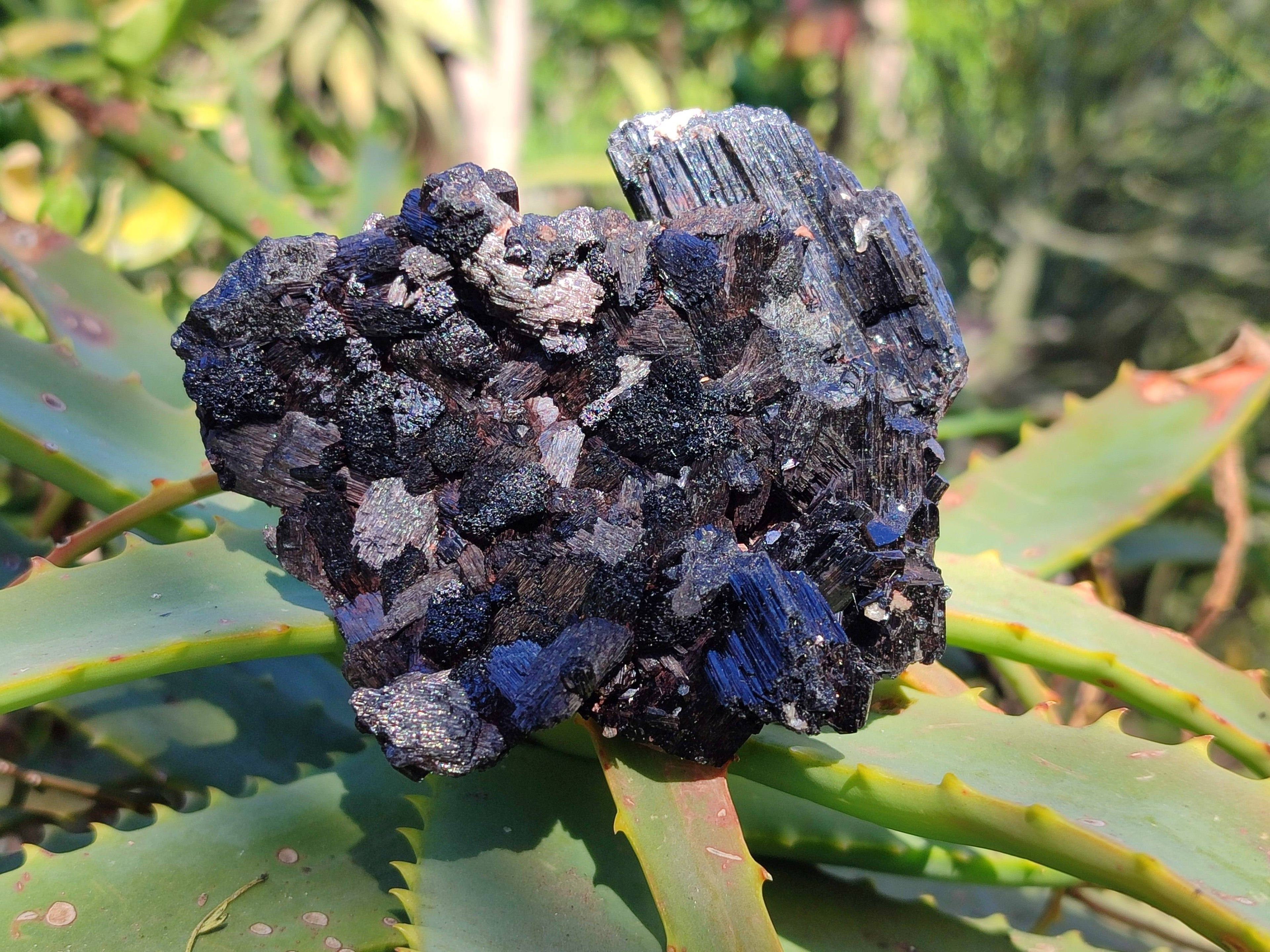 Natural Schorl Black Tourmaline Specimens x 6 From Erongo, Namibia - Toprock Gemstones and Minerals 