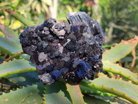 Natural Schorl Black Tourmaline Specimens x 6 From Erongo, Namibia