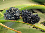 Natural Schorl Black Tourmaline Specimens x 6 From Erongo, Namibia - Toprock Gemstones and Minerals 