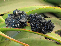 Natural Schorl Black Tourmaline Specimens x 6 From Erongo, Namibia