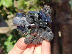 Natural Schorl Black Tourmaline Specimens x 6 From Erongo, Namibia - Toprock Gemstones and Minerals 
