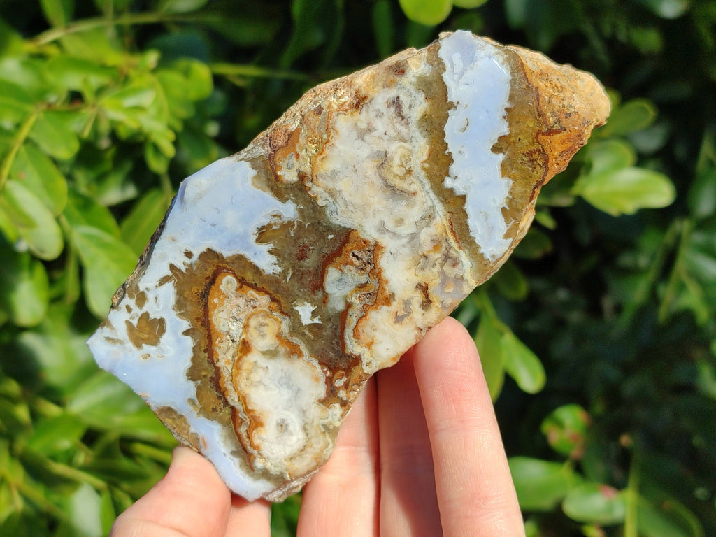 Polished On One Side 'Crazy' Blue Lace Agate x 4 From Namibia - Toprock Gemstones and Minerals 