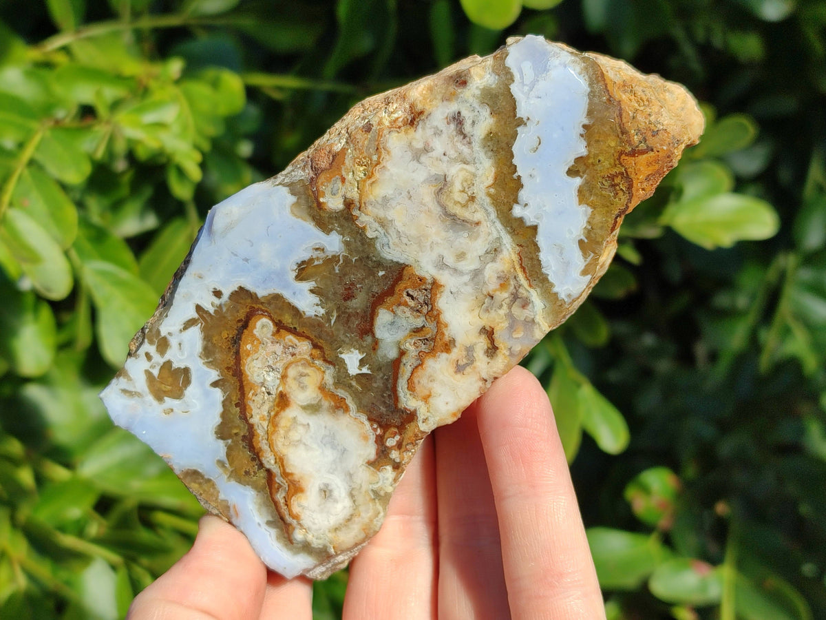 Polished On One Side 'Crazy' Blue Lace Agate x 4 From Namibia - Toprock Gemstones and Minerals 