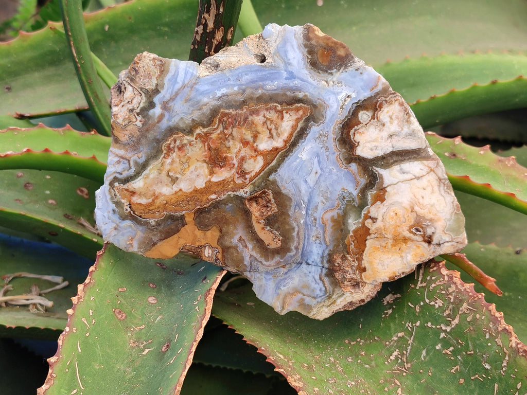 Polished On One Side 'Crazy' Blue Lace Agate x 4 From Namibia - Toprock Gemstones and Minerals 