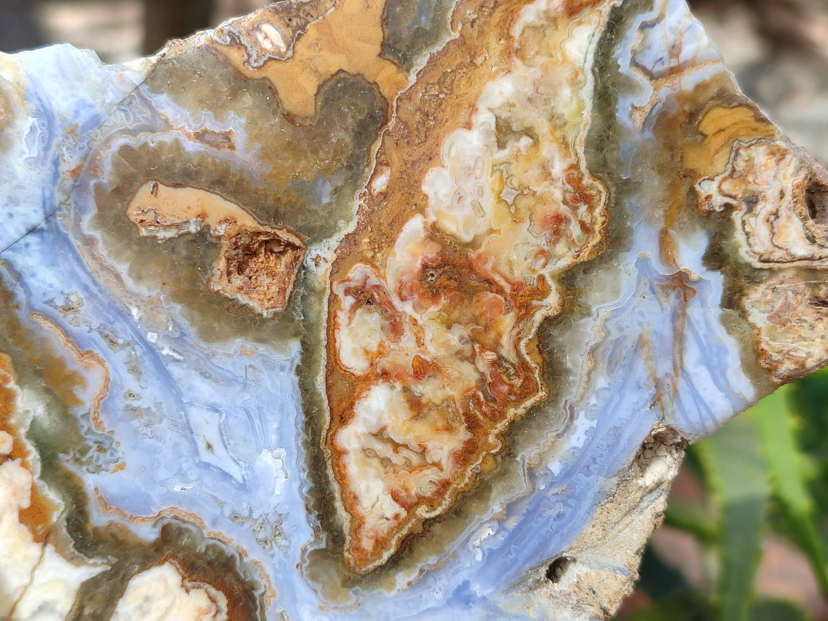 Polished On One Side 'Crazy' Blue Lace Agate x 4 From Namibia - Toprock Gemstones and Minerals 