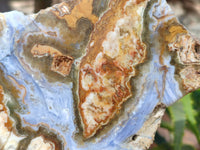Polished On One Side 'Crazy' Blue Lace Agate x 4 From Namibia