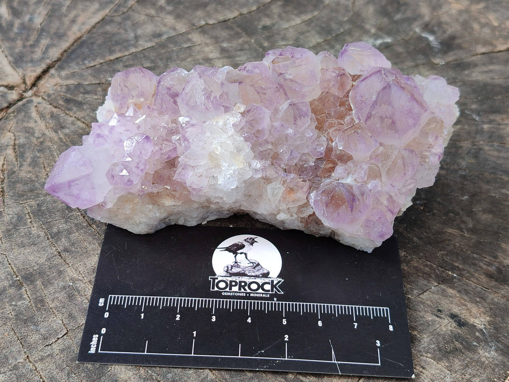 Natural Amethyst Spirit Quartz Clusters x 3 From Boekenhouthoek, South Africa - Toprock Gemstones and Minerals 