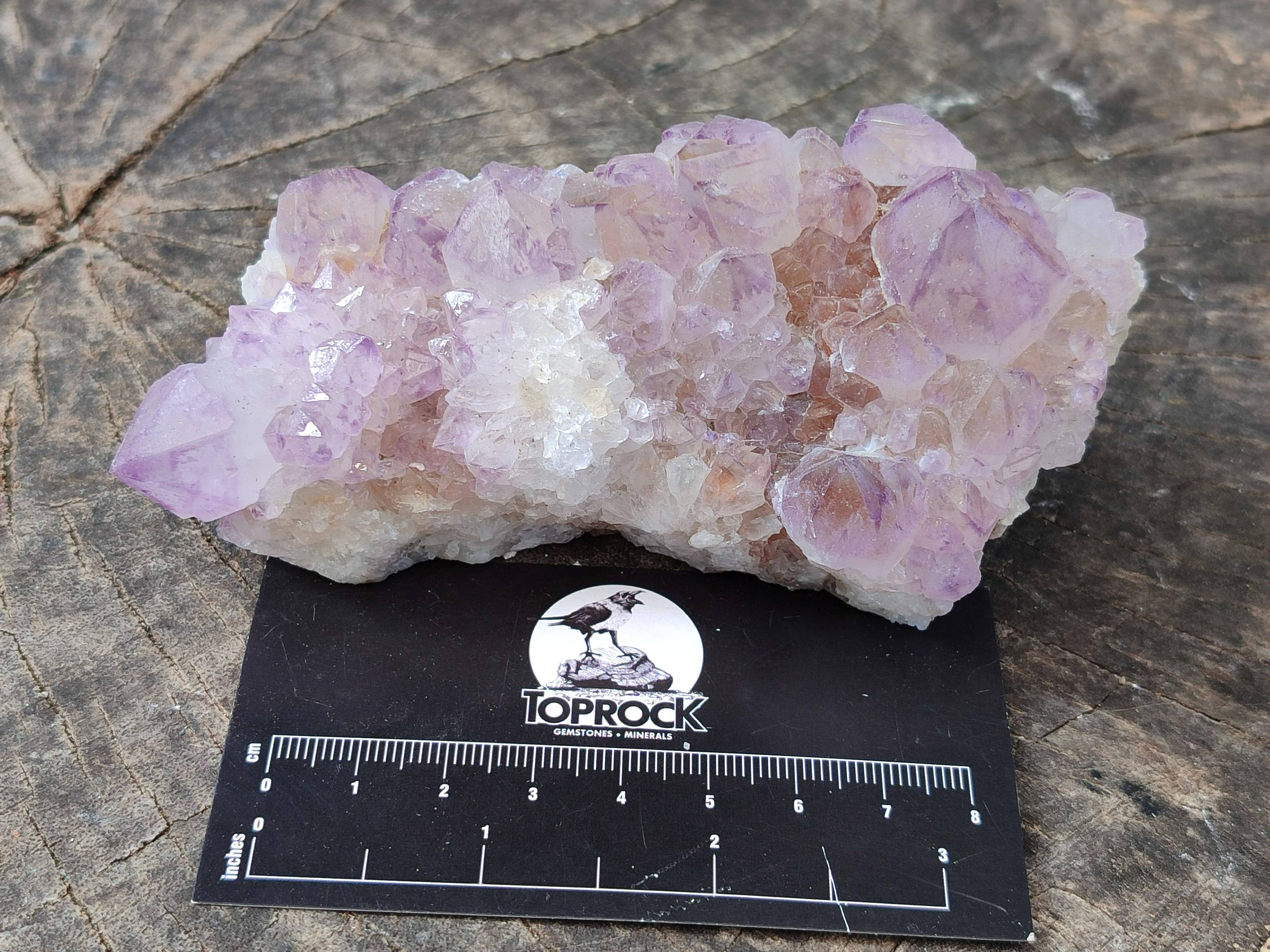 Natural Amethyst Spirit Quartz Clusters x 3 From Boekenhouthoek, South Africa - Toprock Gemstones and Minerals 