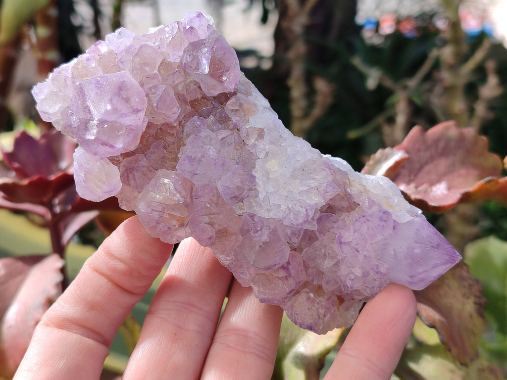 Natural Amethyst Spirit Quartz Clusters x 3 From Boekenhouthoek, South Africa - Toprock Gemstones and Minerals 