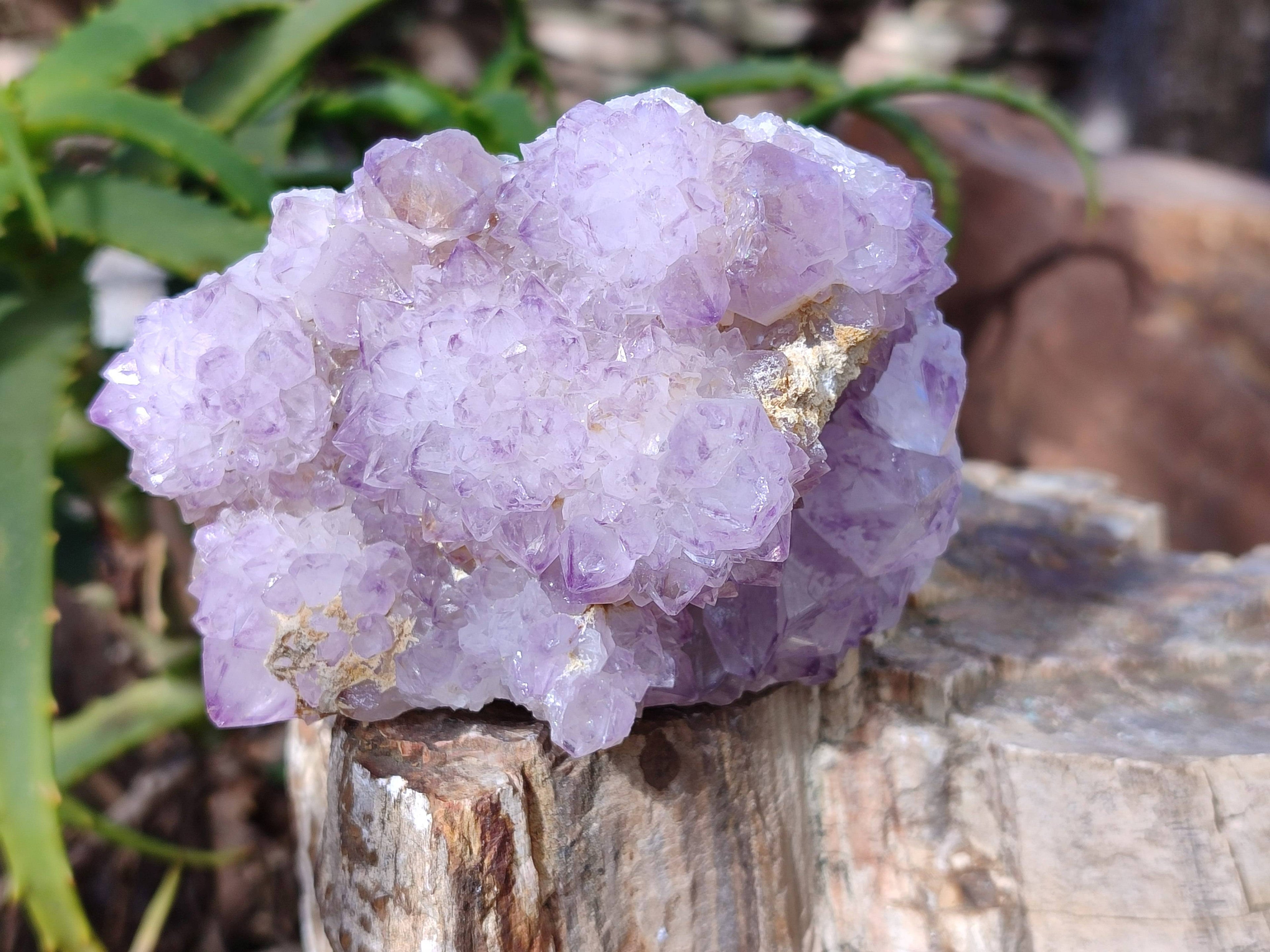 Natural Amethyst Spirit Quartz Clusters x 3 From Boekenhouthoek, South Africa - Toprock Gemstones and Minerals 