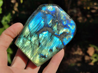 Polished Labradorite Standing Free Forms x 6 From Tulear, Madagascar - Toprock Gemstones and Minerals 