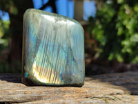 Polished Labradorite Standing Free Forms x 6 From Tulear, Madagascar - Toprock Gemstones and Minerals 