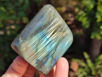 Polished Labradorite Standing Free Forms x 6 From Tulear, Madagascar - Toprock Gemstones and Minerals 