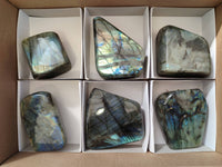Polished Labradorite Standing Free Forms x 6 From Tulear, Madagascar - Toprock Gemstones and Minerals 