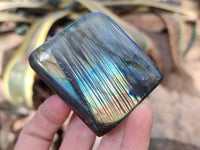 Polished Labradorite Standing Free Forms x 6 From Tulear, Madagascar - Toprock Gemstones and Minerals 
