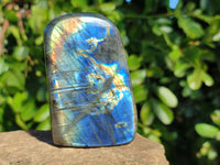 Polished Labradorite Standing Free Forms x 6 From Tulear, Madagascar - Toprock Gemstones and Minerals 