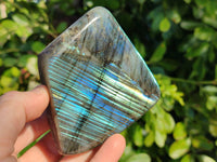 Polished Labradorite Standing Free Forms x 6 From Tulear, Madagascar - Toprock Gemstones and Minerals 