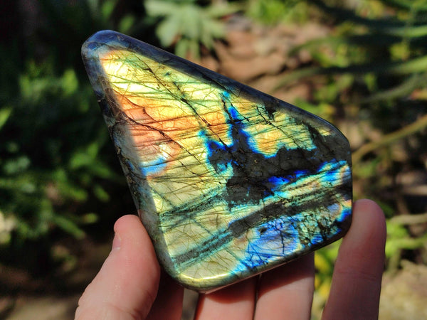 Polished Labradorite Standing Free Forms x 6 From Tulear, Madagascar - Toprock Gemstones and Minerals 