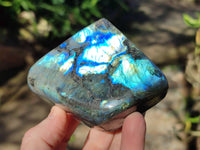 Polished Labradorite Standing Free Forms x 6 From Tulear, Madagascar - Toprock Gemstones and Minerals 