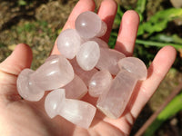 Polished Rose Quartz Mini Mushrooms x 20 Madagascar
