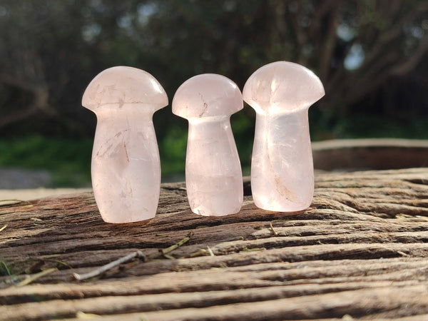 Polished Rose Quartz Mini Mushrooms x 20 Madagascar