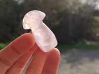 Polished Rose Quartz Mini Mushrooms x 20 Madagascar