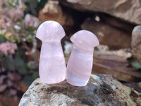 Polished Rose Quartz Mini Mushrooms x 20 Madagascar