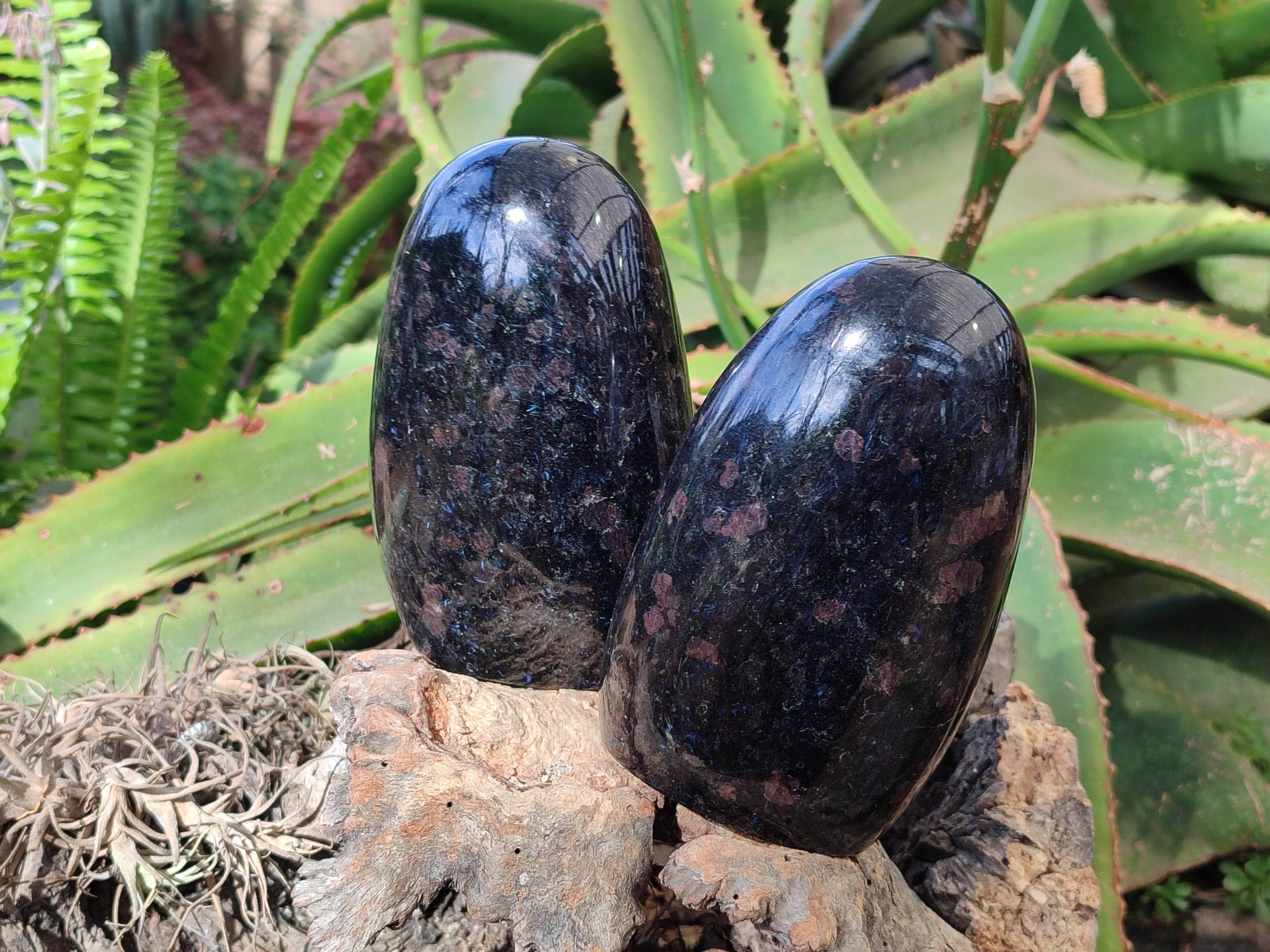 Polished Iolite Standing Free Forms x 2 From Ambatofinandrahana, Madagascar - Toprock Gemstones and Minerals 