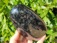 Polished Iolite Standing Free Forms x 2 From Ambatofinandrahana, Madagascar