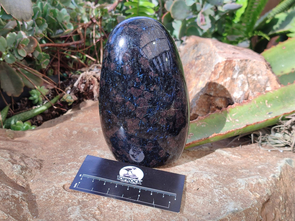 Polished Iolite Standing Free Forms x 2 From Ambatofinandrahana, Madagascar - Toprock Gemstones and Minerals 