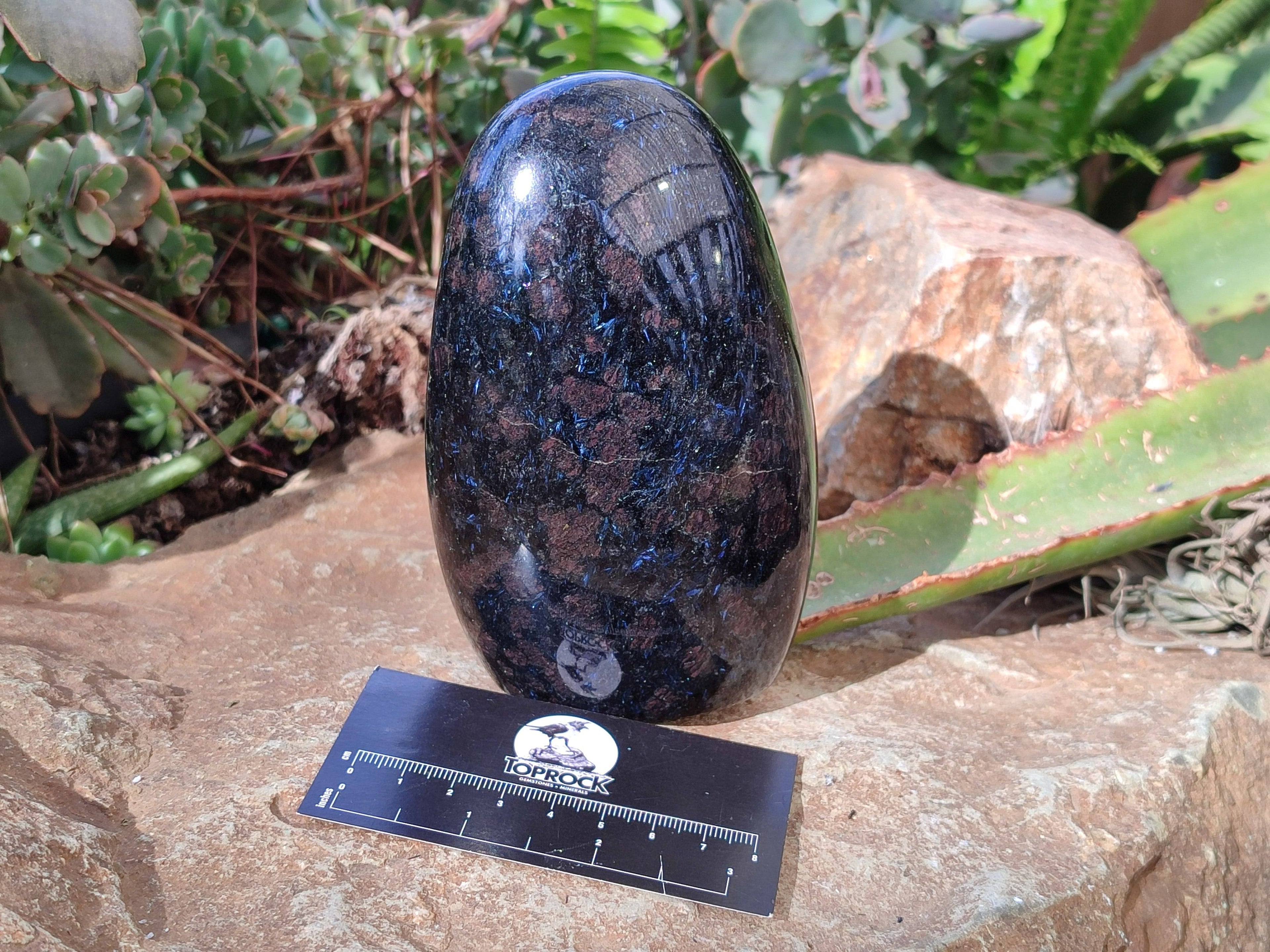 Polished Iolite Standing Free Forms x 2 From Ambatofinandrahana, Madagascar - Toprock Gemstones and Minerals 