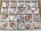 Natural Amethyst Spirit Quartz Clusters x 20 From Boekenhouthoek, South Africa - Toprock Gemstones and Minerals 