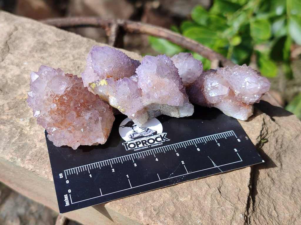 Natural Amethyst Spirit Quartz Clusters x 20 From Boekenhouthoek, South Africa - Toprock Gemstones and Minerals 
