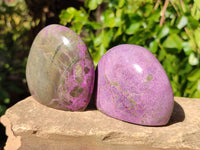 Polished Stichtite Standing Free Forms x 6 From Barberton, South Africa