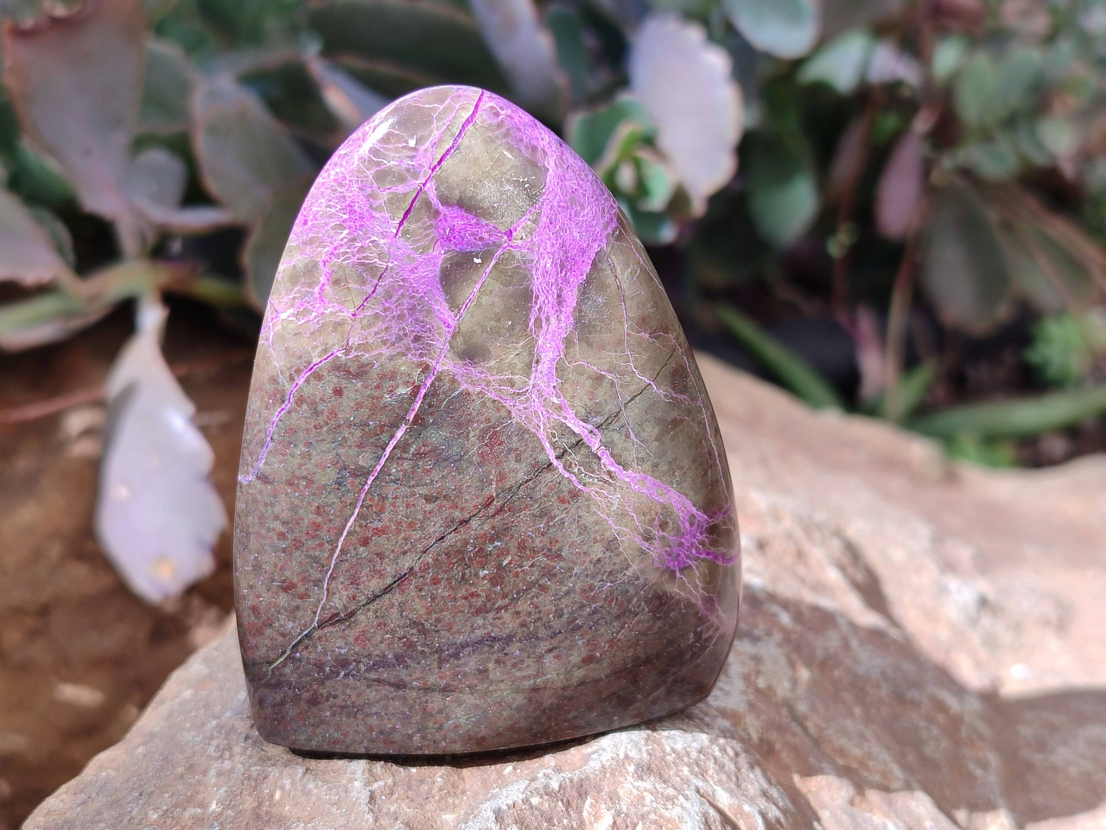 Polished Stichtite Standing Free Forms x 6 From Barberton, South Africa - Toprock Gemstones and Minerals 