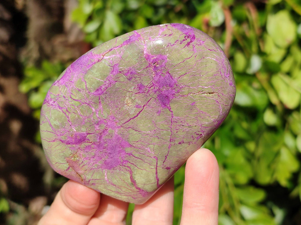 Polished Stichtite Standing Free Forms x 6 From Barberton, South Africa - Toprock Gemstones and Minerals 
