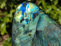 Polished Labradorite Standing Free Form x 1 From Tulear, Madagascar