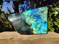 Polished Labradorite Standing Free Form x 1 From Tulear, Madagascar