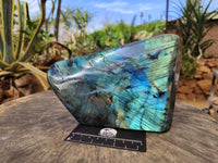 Polished Labradorite Standing Free Form x 1 From Tulear, Madagascar