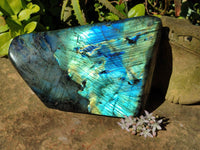 Polished Labradorite Standing Free Form x 1 From Tulear, Madagascar