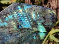Polished Labradorite Standing Free Form x 1 From Tulear, Madagascar