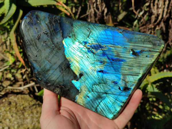 Polished Labradorite Standing Free Form x 1 From Tulear, Madagascar