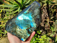 Polished Labradorite Standing Free Form x 1 From Tulear, Madagascar