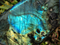 Polished Labradorite Standing Free Form x 1 From Tulear, Madagascar