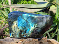 Polished Labradorite Standing Free Form x 1 From Tulear, Madagascar