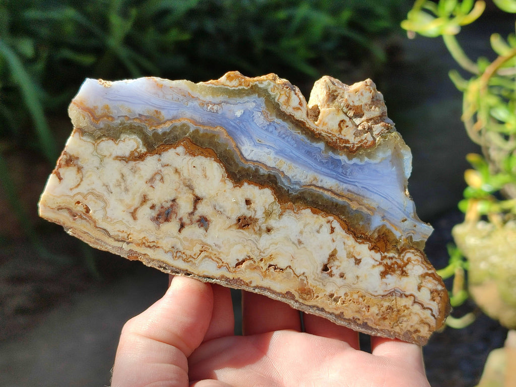 Polished On One Side 'Crazy' Blue Lace Agate x 7 From Namibia - Toprock Gemstones and Minerals 