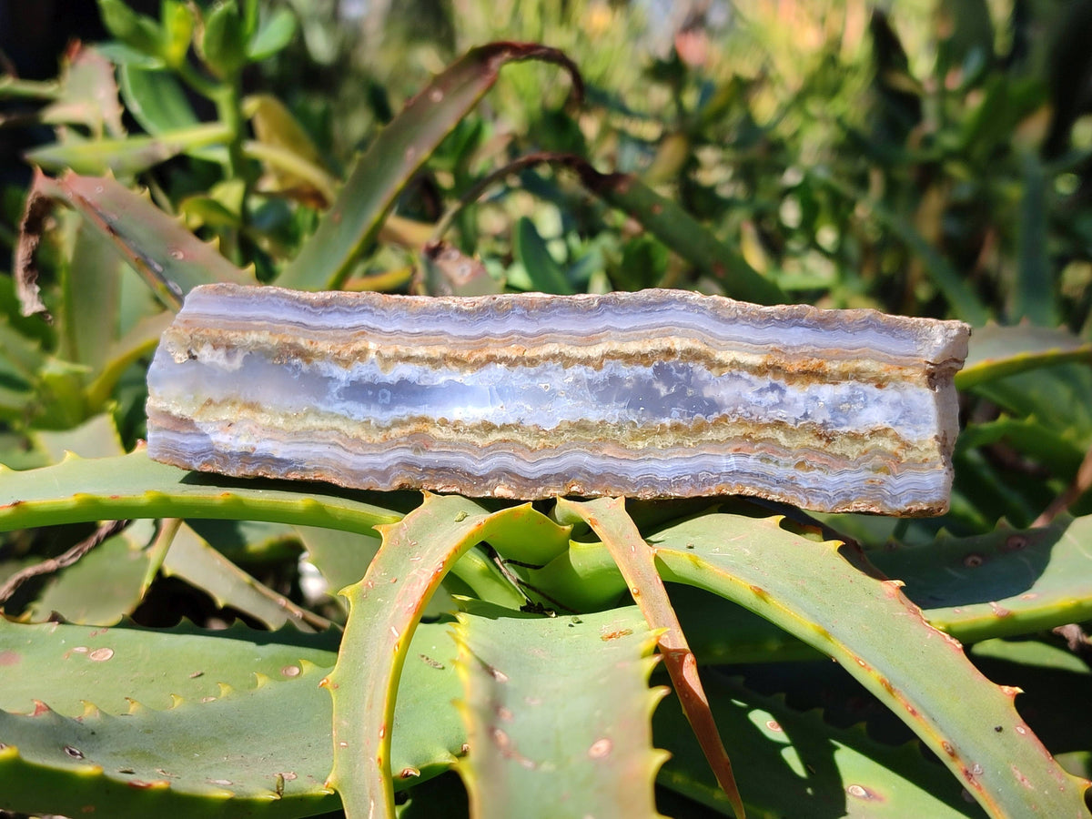 Polished On One Side 'Crazy' Blue Lace Agate x 7 From Namibia - Toprock Gemstones and Minerals 